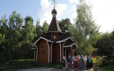 Уникальный музей одной иконы: в храме Бориса и Глеба в Новокосино открылся цикл встреч, посвященных дару иконописца Ивана Борискова